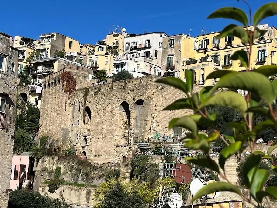 Ventaglieri Panoramic Rooftop In The Historic Center Napoli Appartamento